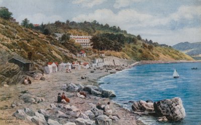 Spiaggia di Meadfoot, Torquay da Alfred Robert Quinton